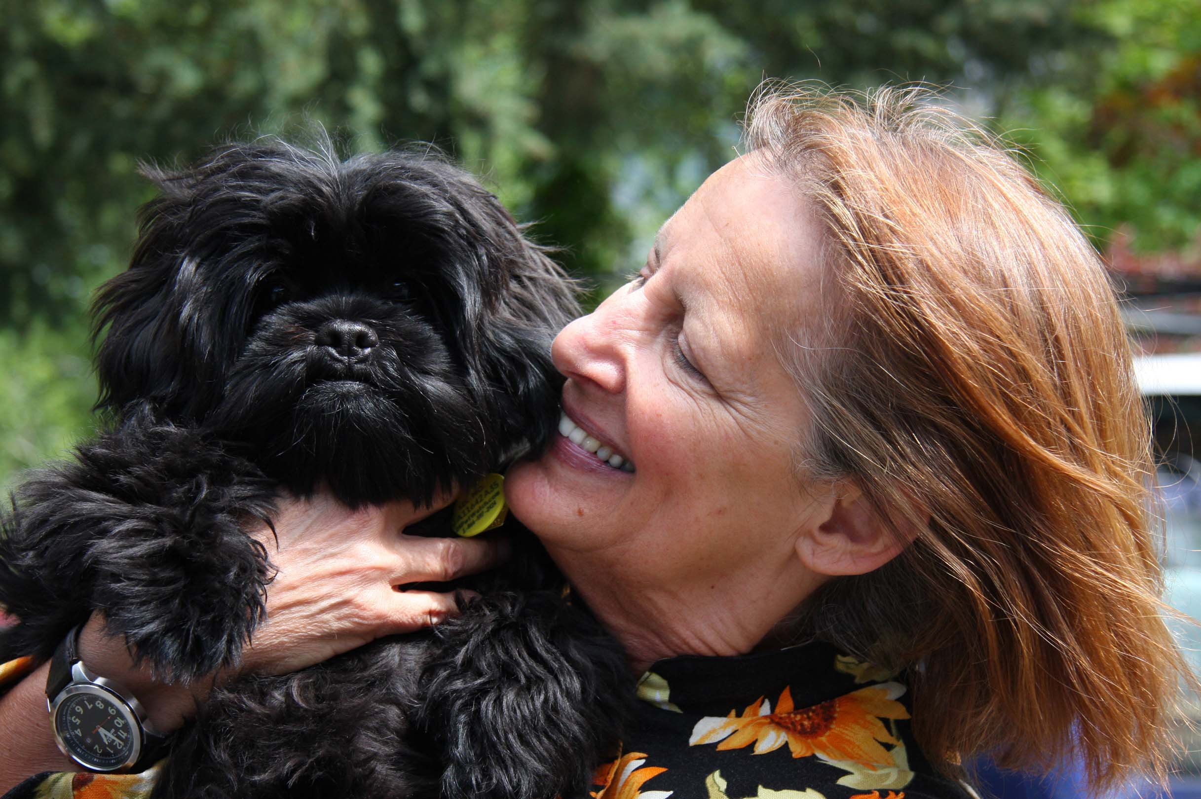 The Secret To A Fulfilling Life Adopt A Furry Friend From Humane Society Great Bend - b8dfmk9