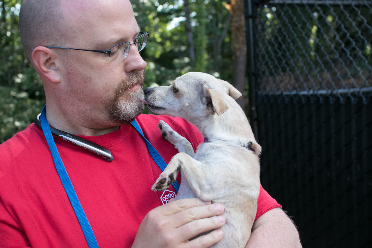 seattle humane society dogs for adoption