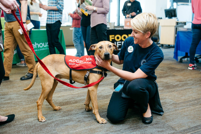 host a workplace giving event with seattle humane