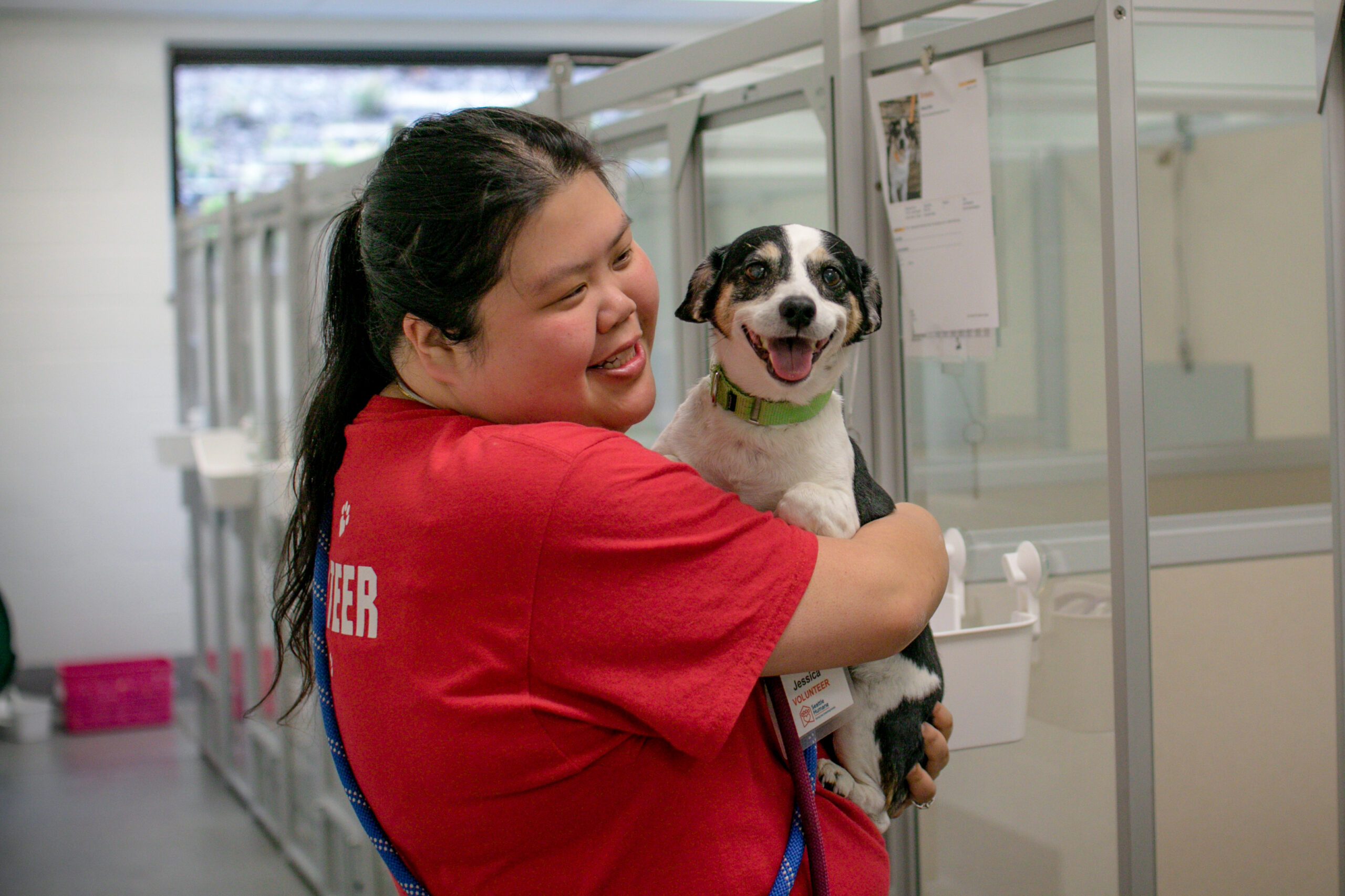 Volunteering - Seattle Humane