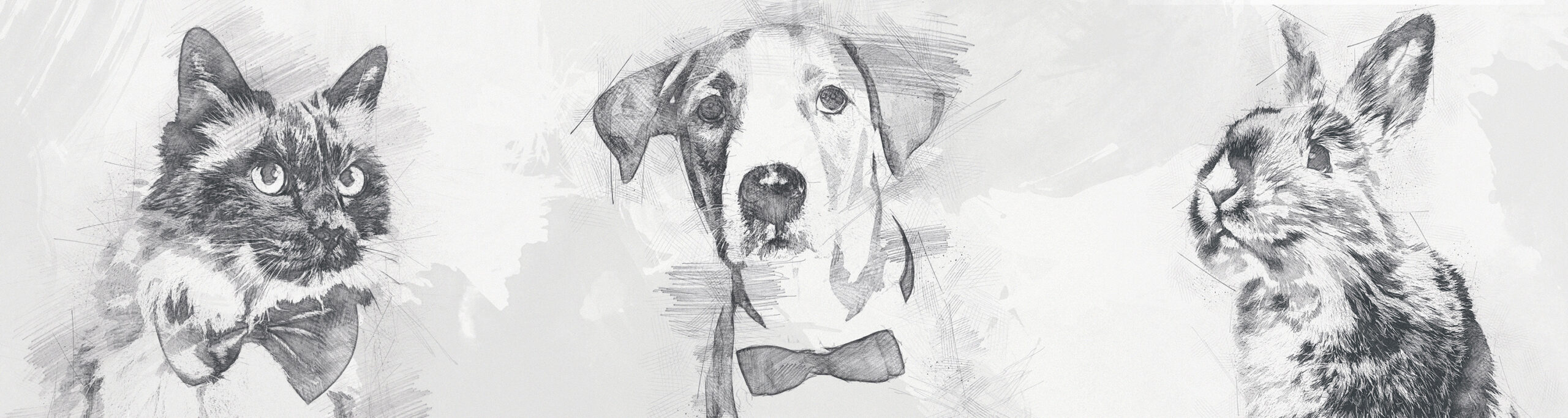 Humane Society of Tampa Bay - Have you reserved your seats for Tuxes and  Tails? We are excited for another amazing gala to benefit the animals in  our care. This year the