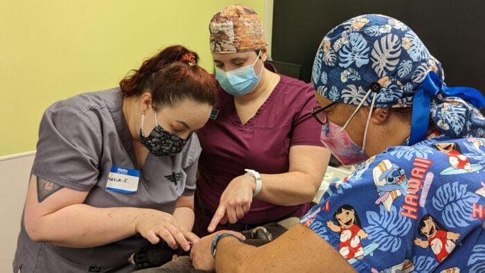 Pima vet students and faculty