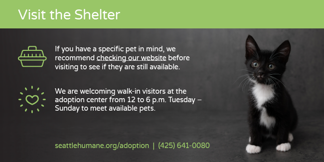 Adoption Process - Seattle Humane
