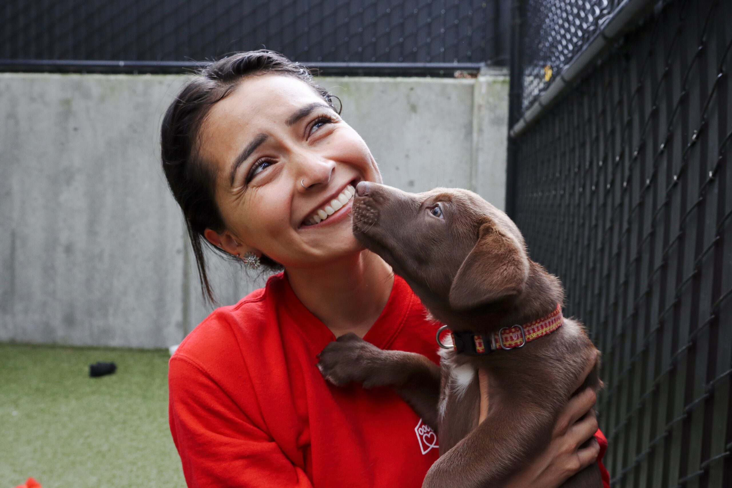 A volunteer with dark hair and a red shirt smiles with a brown puppy