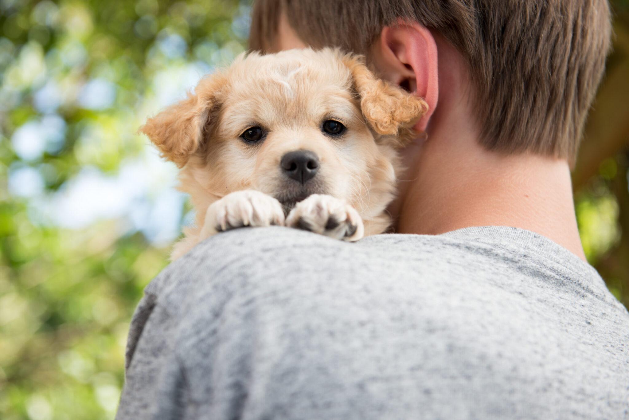 Ways to Give - Seattle Humane