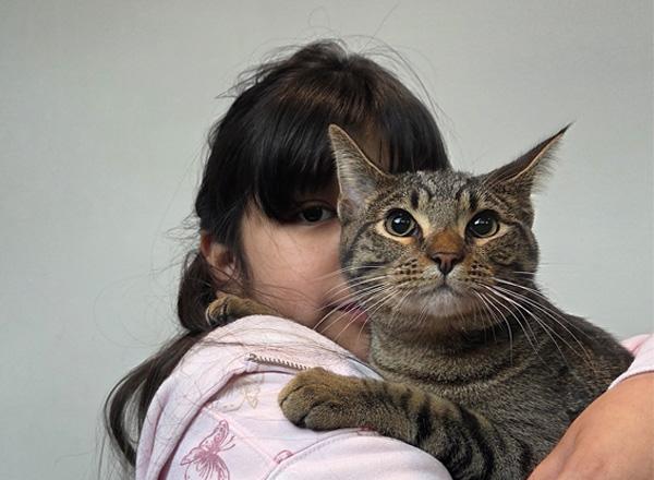 A girl holds a tabby cat who is looking at the camera